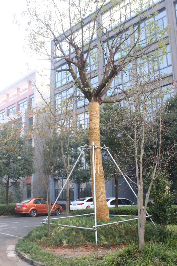 点击查看源文件