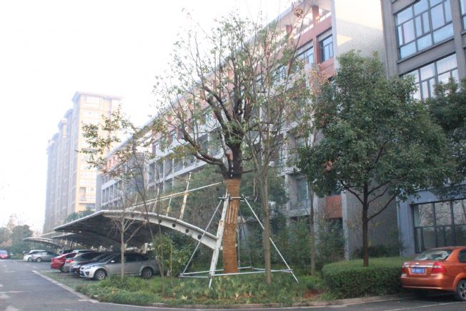 点击查看源文件